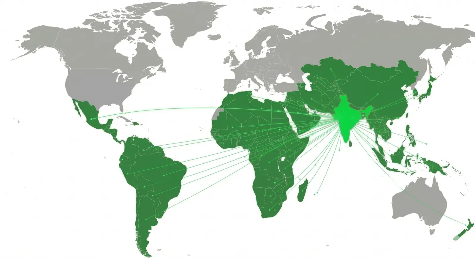 Bio Pharma Primo Impex global footprint network map