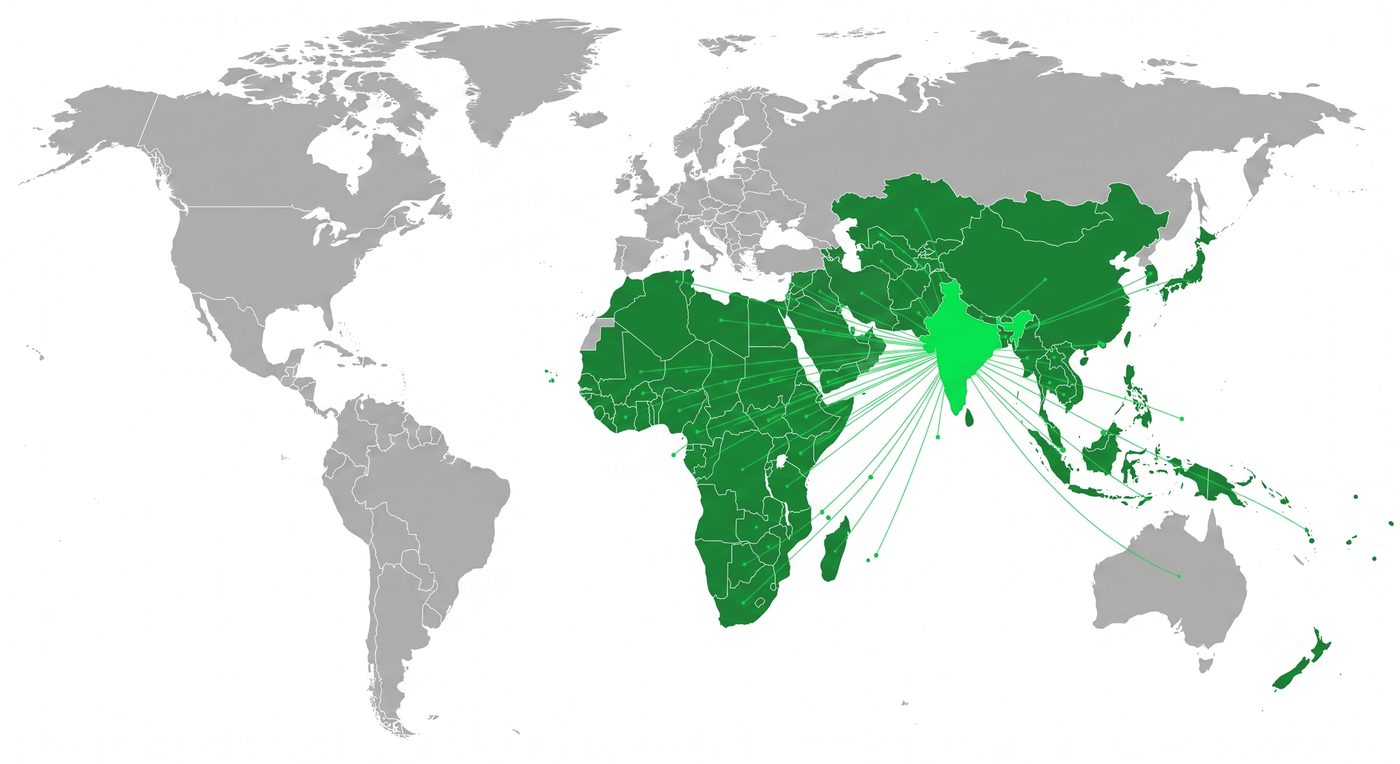 Bio Pharma Primo Impex global supply chain management across 80+ international markets