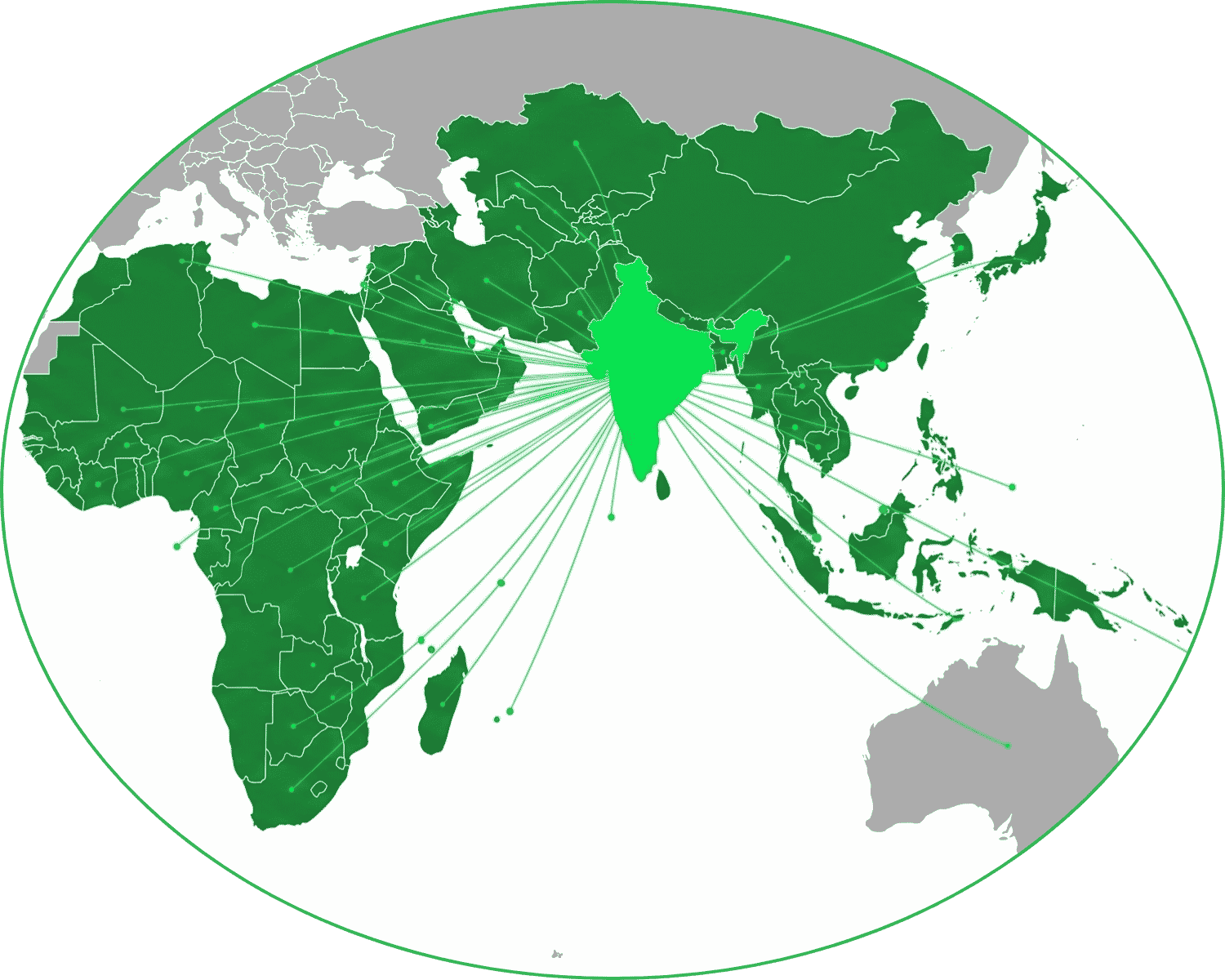 Bio Pharma Primo Impex global supply network